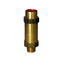 Relief Valve Replacement, EB51LZ221