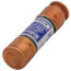15 Amp Dual Element Time-Delay Class RK5 Fuse (250V)