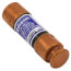 2 Amp Dual Element Time-Delay Class RK5 Fuse (250V)