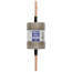 300 Amp Dual Element Time-Delay Class RK5 Fuse (250V)
