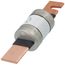400 Amp Dual Element Time-Delay Class RK5 Fuse (250V)