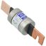 400 Amp Dual Element Time-Delay Class RK5 Fuse (250V)