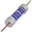 70 Amp Dual Element Time-Delay Class RK5 Fuse (250V)