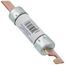 70 Amp Dual Element Time-Delay Class RK5 Fuse (250V)