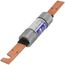 100 Amp Dual Element Time-Delay Class RK5 Fuse (600V)