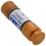 250V Dual Element Fuse, Class Rk5 - 15 Amps (Pack of 2)