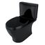 MS442124CUF#51 Nexus 1.0 GPF 2-Piece Elongated 1.0 GPF Universal Height Toilet w/ SS124 Softclose Seat, Washlet+ Ready (Ebony)