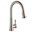 Everyday Single Hole Deck Mount Kitchen Faucet w/ Pull-down Spray Forward Only Lever Handle (Lustrous Steel)