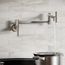 Avado Wall Mount Single Hole Pot Filler Kitchen Faucet w/ Lever Handles (Lustrous Steel), LKAV4091LS