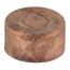 1/2" Copper DWV Test Cap