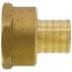1" PEX x 1" NPT Brass Female Adapter (Lead Free)