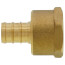 1/2" PEX x 1/2" NPT Brass Female Adapter (Lead Free)