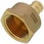 1/2" PEX x 3/4" NPT Brass Female Adapter (Lead Free)