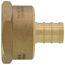 1/2" PEX x 3/4" NPT Brass Female Adapter (Lead Free)