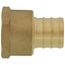 3/4" PEX x 1/2" NPT Brass Female Adapter (Lead Free)