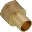 3/4" PEX x 1/2" NPT Brass Female Adapter (Lead Free)