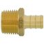 1/2" PEX x 1/2" NPT Brass Male Adapter (Lead Free)