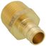 1/2" PEX x 1/2" NPT Brass Male Adapter (Lead Free)