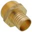 1-1/2" PEX x 1-1/2" NPT Brass Male Adapter (Lead Free)