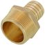 1-1/4" PEX x 1-1/4" NPT Brass Male Adapter (Lead Free)