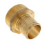 2" PEX x 2" NPT Brass Male Adapter (Lead Free)