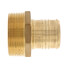 2" PEX x 2" NPT Brass Male Adapter (Lead Free)
