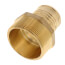 2" PEX x 2" NPT Brass Male Adapter (Lead Free)