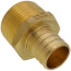 1" PEX x 1" NPT Brass Male Adapter (Lead Free)