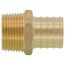 1" PEX x 3/4" NPT Brass Male Adapter (Lead Free)