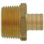 3/4" PEX x 1" NPT Brass Male Adapter (Lead Free)