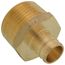 3/4" PEX x 1" NPT Brass Male Adapter (Lead Free)