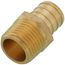 3/4" PEX x 1/2" NPT Brass Male Adapter (Lead Free)