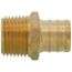 3/4" PEX x 1/2" NPT Brass Male Adapter (Lead Free)