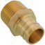3/4" PEX x 1/2" NPT Brass Male Adapter (Lead Free)