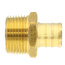 3/4" PEX x 3/4" NPT Brass Male Adapter (Lead Free)