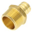 3/4" PEX x 3/4" NPT Brass Male Adapter (Lead Free)