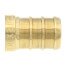 1/2" PEX Brass Plug (Lead Free)