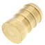 1/2" PEX Brass Plug (Lead Free)