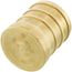 3/4" PEX Brass Plug (Lead Free)