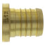 1-1/4" PEX Brass Plug (Lead Free)