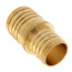 1-1/2" PEX x 1-1/4" PEX Brass Coupling (Lead Free)