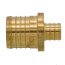 1-1/2" PEX x 3/4" PEX Brass Coupling (Lead Free)