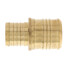 2" PEX x 1-1/2" PEX Brass Coupling (Lead Free)