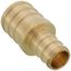 1/2" PEX x 3/4" PEX Brass Coupling (Lead Free)