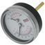 E-Z Trialtimeter, 1/4" NPT Short Shank Boiler Gauge (0-61 PSI, 30-Degree -250-Degree (F))