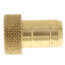 1/2" Plug