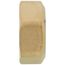 1" Union Slip Nut (Brass)