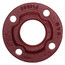 2" Cast Iron Flange