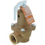 3/4" 174A Relief Valve w/ Flood Sensor Connectivity (45 psi)