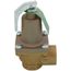3/4" 174A Relief Valve w/ Flood Sensor Connectivity (150 psi)